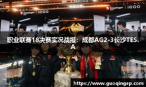 职业联赛18决赛实况战报：成都AG2-3长沙TES.A